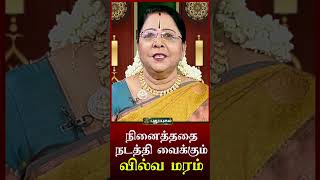 நினைத்ததை நடத்தி வைக்கும் வில்வ மரம்...! |#puthuyugamtv #shorts