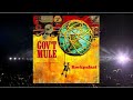 Govt Mule -  Rockpalast * 2005