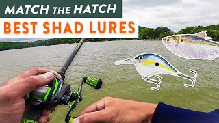 4 MUST HAVE Baitfish Imitators for Spring Fishing! (Match The Hatch)