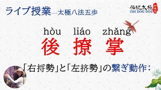 後撩掌とは/「右捋勢」と「左挤勢」の繋ぎ動作/太極八法五歩ライブ授業/知道堂/劉暎渲