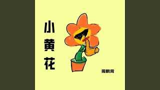 小黄花