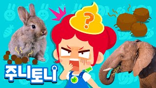 [생생탐구] 동물들의 똥똥똥💩 | 똥을 먹는 동물이 있다고요? | 동물 친구들이 알려 주는 신기하고 재미있는 똥 이야기 | 어린이 자연관찰 | 주니토니 | JunyTony