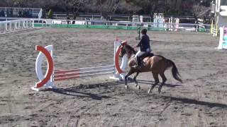 2016.12.17 第52回関東高等学校自馬競技大会 第4競技 小障害C -1飛越競技 田崎圭吾 慶湊号