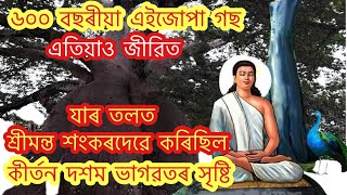 অসমৰ আজৱ দৃশ্য😱 ভগৱানৰ এই লীলা দেখি আচৰিত সকলো🙏🙏 Bhagawat gyan Assamese