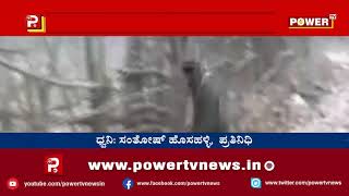 ಪುಲ್ವಾಮಾದಲ್ಲಿ ಮತ್ತೆ ನಾಲ್ವರು ಯೋಧರು ಹುತಾತ್ಮ  | Power TV News