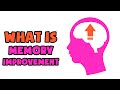 What is Memory Improvement | Explained in 2 min