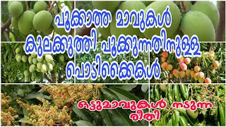 പൂക്കാത്ത മാവുകൾ പൂക്കാൻ||pookkatha maavukal pookkanulla tips|| #LibinasVlog ||