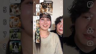 【お気に入りの犬ランキング🐶】#ちゅん #カップル #カップルの日常 #tiktok #チャレンジ #犬 #youtube #shorts #youtubeshorts