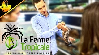 La Ferme Tropicale Magasin Reptiles