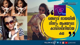 നടൻ സിദ്ധാർഥും തൃഷയും കാഡ്‌ബറിയെ ആദ്യമായി കാണുന്നത്.