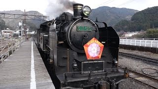 大井川鐵道 合格祈願列車2 2015年1月11日