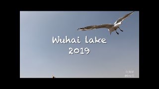 Wuhai lake 2019 | 乌海湖 内蒙古 乌海市 2019