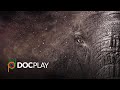 Escape From Extinction | Official Trailer | DocPlay