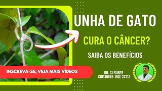 UNHA DE GATO, para que serve? Cura o CÂNCER? #plantasmedicinais