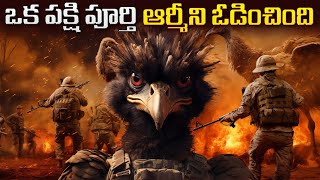 ఒక పక్షి పూర్తి ఆర్మీని ఎలా ఓడించింది? | Avian Domination: Australia's Struggle Against Birds