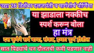 26 डिसेंबर #दत्तजयंतीच्या दिवशी या झाडाला स्पर्श करून बोला हा मंत्र दत्त कृपेने सर्व इच्छा पूर्ण