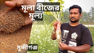 মুলা বীজের ন্যায্য দাম পাচ্ছেন না মুন্সীগঞ্জের ইব্রাহিম | Radish Seed Price | Gardening Bangladesh