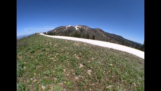 Caribou Mountain - Caribou Targhee National Forest