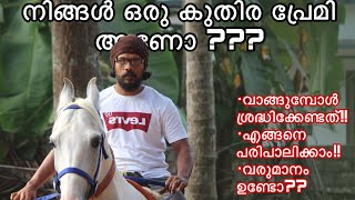 നിങ്ങൾ ഒരു കുതിര പ്രേമി ആണോ???വാങ്ങുമ്പോൾ ശ്രദ്ധിക്കേണ്ടത്!! | horse | kuthira |tillage tending|farm