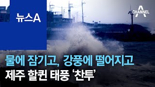 물에 잠기고, 강풍에 떨어지고…제주 할퀸 태풍 ‘찬투’ | 뉴스A