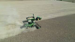 Skyline Soybean Harvest 2022