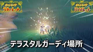 【ポケモンSV】テラスタルガーディ場所　野生テラスタル＃１７【スカーレット・バイオレット】