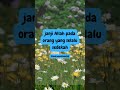 janji Allah pada orang yang selalu sedekah #shorts #shortsvideo #islam #shortsfeed #islam #sedekah