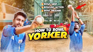 How To Bowl Perfect Yorker In Cricket🔥 কিভাবে Yorker বল করবো? Bangla Cricket Class Pro