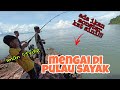 #EP352 Memancing Ikan di Pulau Sayak part 3 - tarikan ganas sang monster