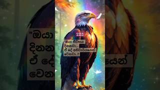 ඔබේ වාසනාවන්තම දිනය අදයි!save this 🎶audio to atract  energy⚡#spiritual  #shorts #astrology#shorts