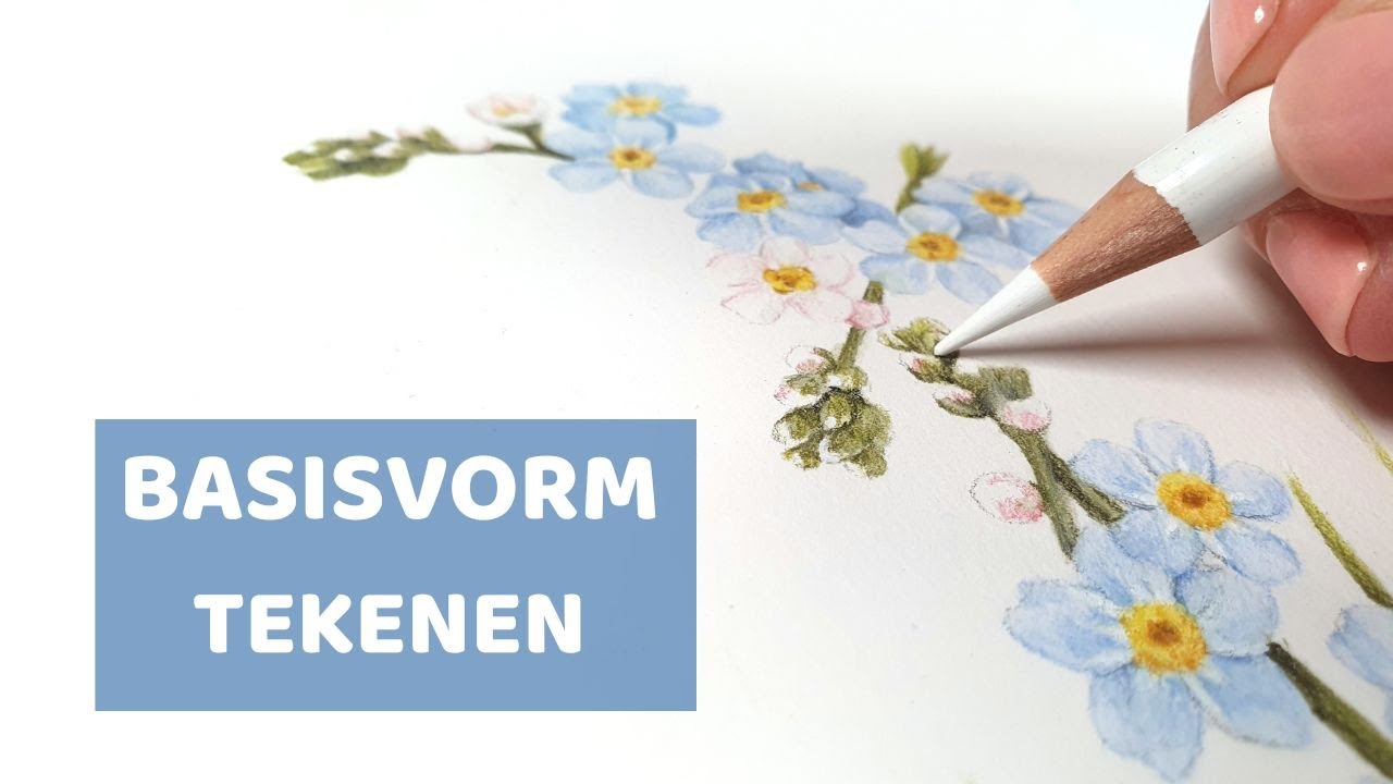 LEREN TEKENEN Voor Beginners | BASISVORMEN - YouTube