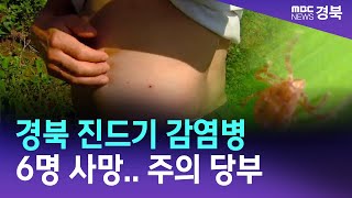 경북 진드기 감염병 6명 사망.. 주의 당부 / 안동MBC