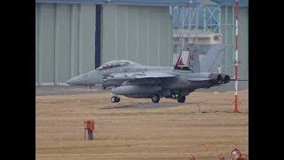 厚木基地の空-414 '18/1/8 (今日はVAQ-134 NL Garudas EA-18G)