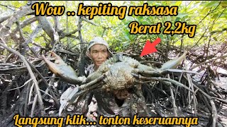 Berburu kepiting di spot yang baru dan berhasil menangkap kepiting raksasa | Bungga Londa.