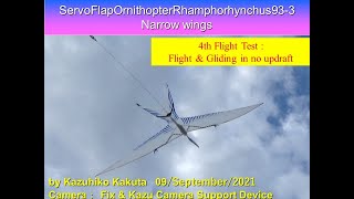 サーボ駆動翼竜型羽ばたき機 細い翼　飛行＆滑空　SFORhamphorhynchus93-3 4th Flight Test : Flight \u0026 Gliding in no updraft