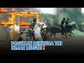 Pertempuran Pasukan Berkuda Tentara Nasional Indonesia di HUT ke-79 TNI❗