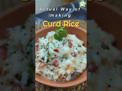 The Right Way to Make Curd Rice: South Indian Comfort Food l Traditional Method l Travel Food