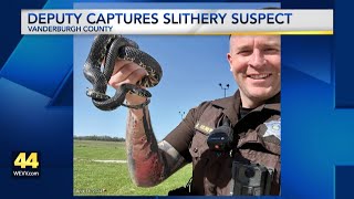 Vanderburgh County deputy captures slithery suspect