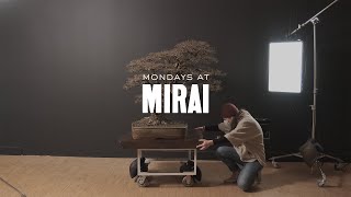 Mondays at Mirai: The Complete Human Experience