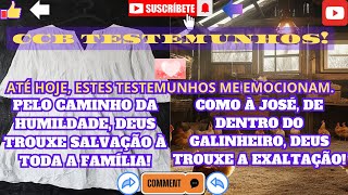 🔔CCB TESTEMUNHOS: NOS CAMINHOS DA HUMILDADE E SINCERIDADE, DEUS COMEÇA A TE EXALTAR! SE PREPARE!💓💖🙌