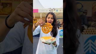 Rs 500 Food Challenge In Republic Day Mela 😱| Living on rs 500 on full day In Mela #shorts