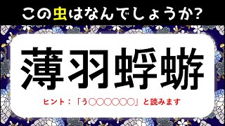 【昆虫の難読漢字クイズ】この昆の名前を読める！？読むのが難しい漢字を紹介【高齢者向け】