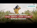 Kisah Perjuangan di Balik Hijaunya Lahan Gambut di Sungai Pakning