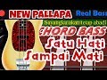 Chord Bass Satu Hati Sampai Mati Cover Bass Real Bass New Pallapa