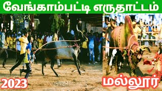 சேலம் வேங்காம்பட்டி எருதாட்டம் 2023 #trendingvideo #festival #salem #jallikattu #cskvsrr #ipl2023 💥💫