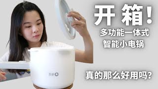 DANWEI'S VLOG : 开箱家电！多功能一体式智能小电锅试煮 真的这么好用吗？煎，炸，蒸，煮 一日三餐全靠它！宿舍/露营煮菜神器 | Malaysia