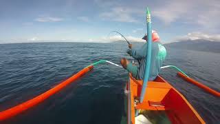 Ruby snapper again. Bottom Fishing