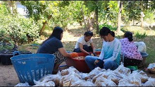 ล้างผลไม้เตรียมงานวันเกิดพี่ปีพรุ่งนี้ ขอบคุณแม่ควาญจ้า