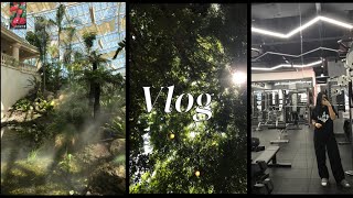 [Vlog] 연휴 브이로그