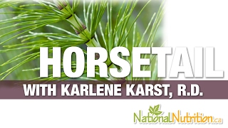 Horsetail Benefits - Supplement for Body Cleanse - Supplement Review | National Nutrition Canada